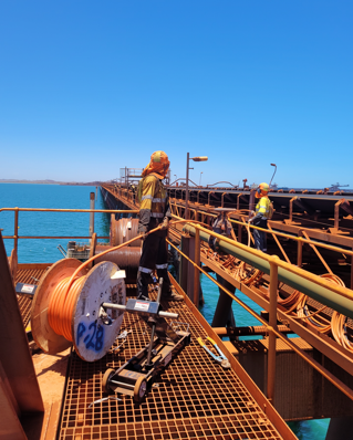 Cape Lambert Dolphin Head Life Extension Project